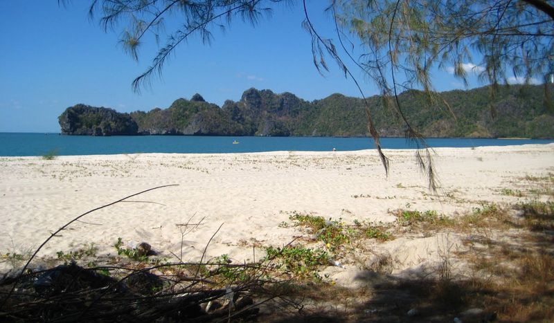 Tourist Died After Getting Stung By Jelly Fish In Pulau Langkawi - World Of Buzz 1