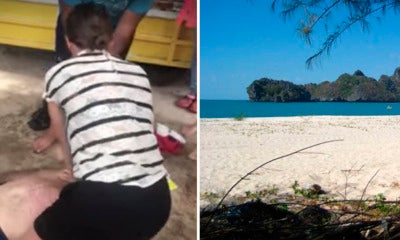 Tourist Died In Pulau Langkawi Just Minutes After Getting Stung By Jellyfish - World Of Buzz