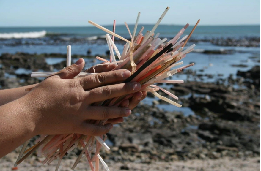 6 Alternatives to Plastic Straws and Their Pros and Cons that You Should Know About - WORLD OF BUZZ