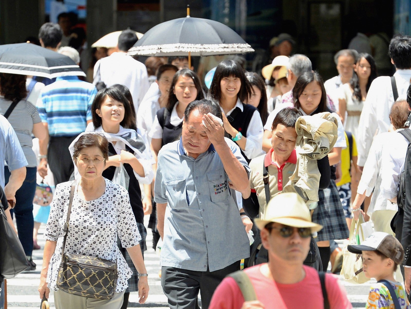 Dozens Dead Due to Japan's Heatwave as Temperatures Soar to 41.1°C - WORLD OF BUZZ 3