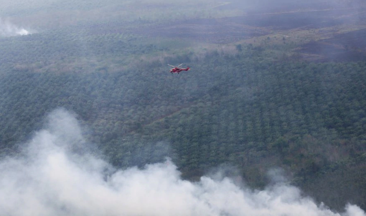 Forest Fires In Indonesia Could Bring The Haze Back To Malaysia Soon - World Of Buzz