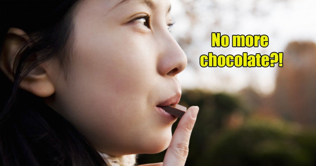 humans have 32 more years to enjoy chocolate before it becomes extinct world of buzz