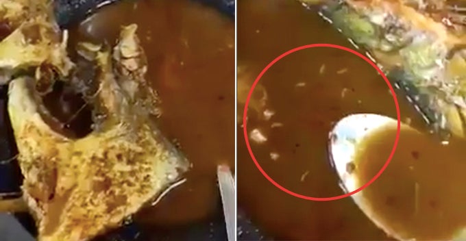 Live Maggots Found In Asam Pedas Dish Famous Melaka Restaurant Ordered To Shut Down World Of Buzz 1