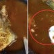 Live Maggots Found In Asam Pedas Dish, Famous Melaka Restaurant Ordered To Shut Down - World Of Buzz
