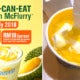 Pay Rm10 And You Can Enjoy Unlimited D24 Durian Mcflurry On 17 July! Here'S The Details - World Of Buzz 1