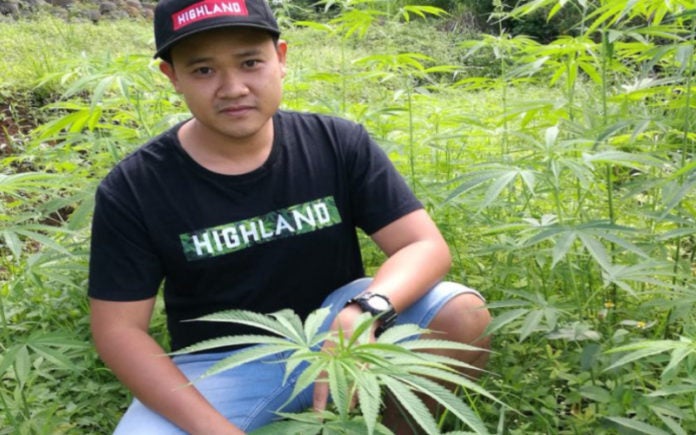 Thailand Could be First Asian Country to Legalise Medical Marijuana in 2019 - WORLD OF BUZZ 2