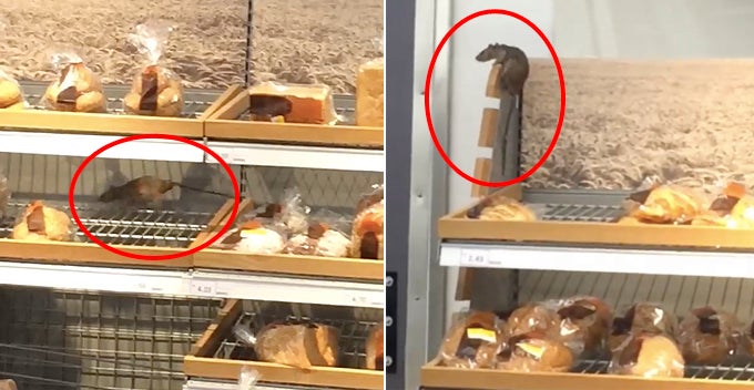 Viral Video Shows Sizeable Rat Crawling On Bread Racks At Setia Alam Hypermarket - World Of Buzz