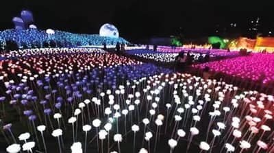 Visit This Incredible Light Festival at Miri Starting July 20 for the Time of Your Life! - WORLD OF BUZZ 4