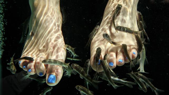 Young Woman Shockingly Loses Her Toenails After Going For Fish Pedicure - World Of Buzz 2