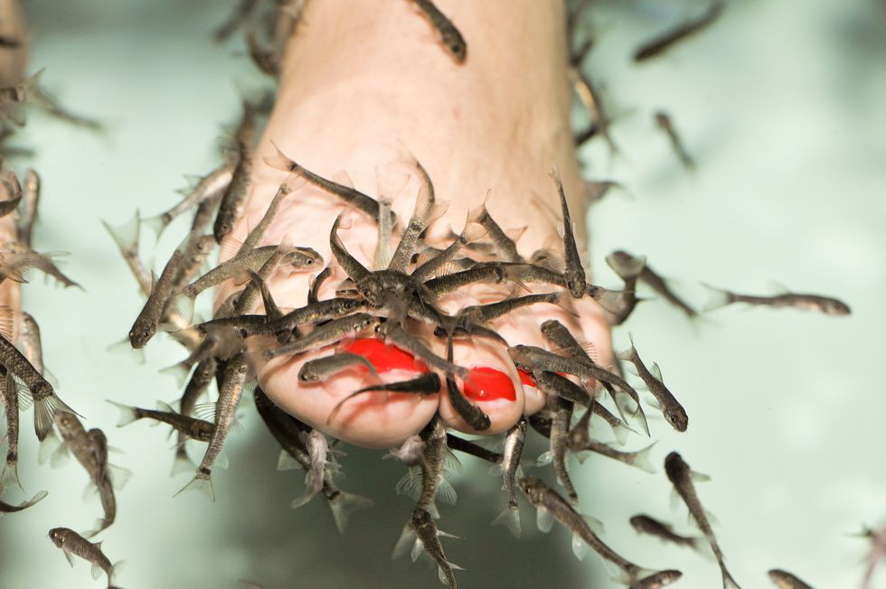 Young Woman Shockingly Loses Her Toenails After Going for Fish Pedicure - WORLD OF BUZZ