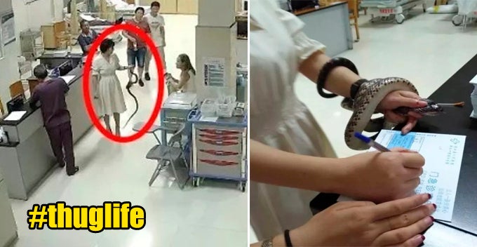 Lady Shows Up At Hospital With Live Snake Around Wrist After Getting Bitten, Doctors Stunned - World Of Buzz 1