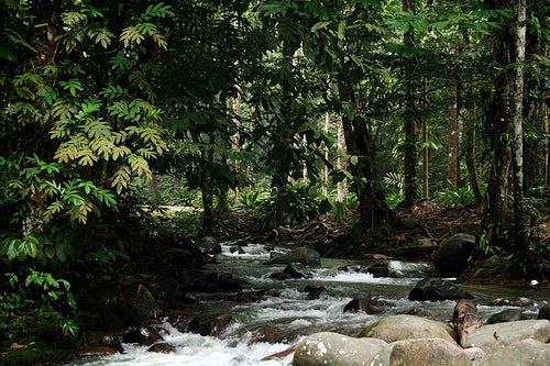 [Test] 8 Beautiful Nature Places Just A Short Drive From The Klang Valley - World Of Buzz
