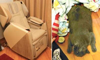 Woman'S Cat Tragically Crushed To Death By The Moving Parts Of Massage Chair - World Of Buzz
