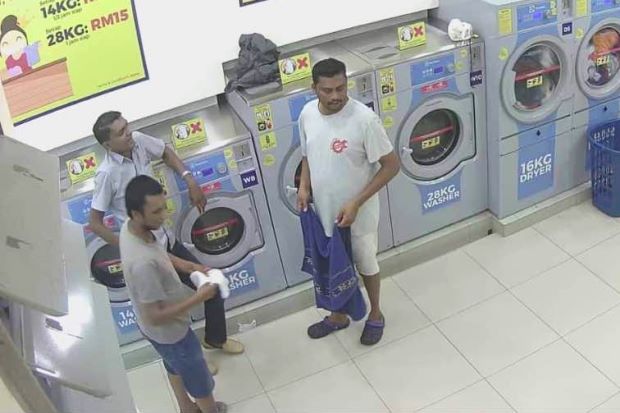 2 Men Who Brutally Killed Pregnant Cat In Gombak Laundromat Have Been Arrested - World Of Buzz