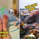 6 Very Malaysian Things We Do That Are Actually Super Duper Gross - World Of Buzz