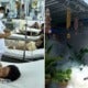 Bangkok Issues Dengue Fever Warning As 69 Deaths Reported Nationwide - World Of Buzz 1