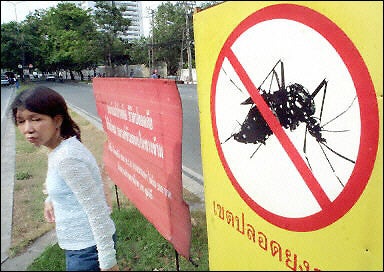 Bangkok Issues Dengue Fever Warning as 69 Deaths Reported Nationwide - WORLD OF BUZZ