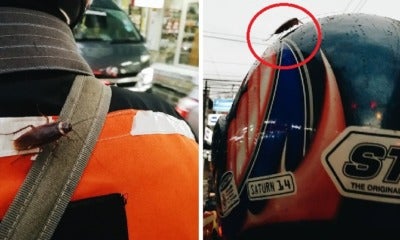 Girl Realises Cockroach Is On Moto-Taxi Driver'S Back Halfway Through Her Journey - World Of Buzz 1