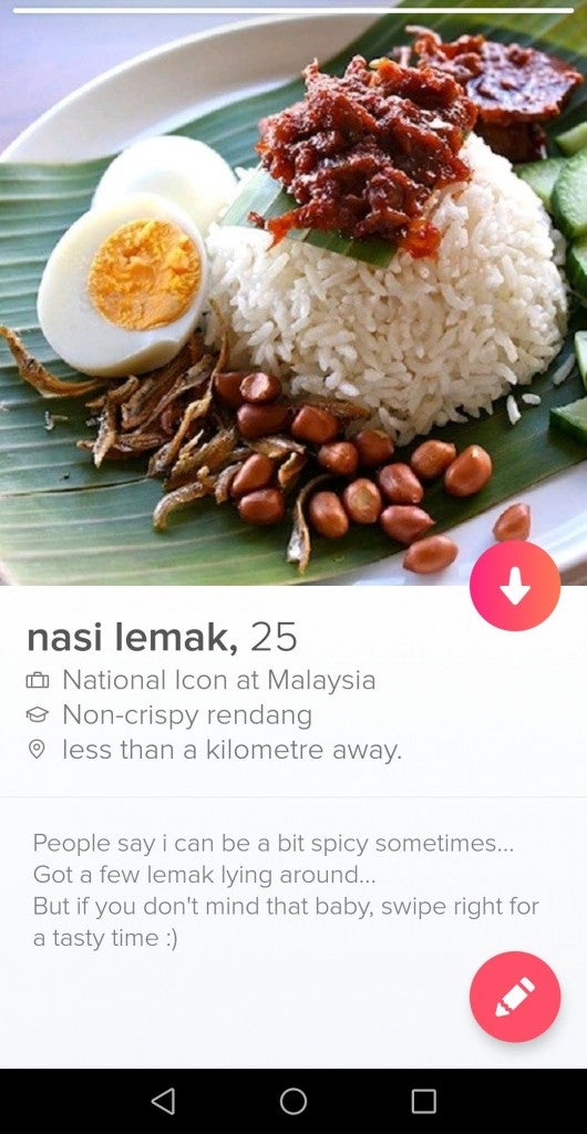 How Easy is it to be Matched on Dating Apps? We Created a Fake Nasi Lemak Profile to Find Out - WORLD OF BUZZ