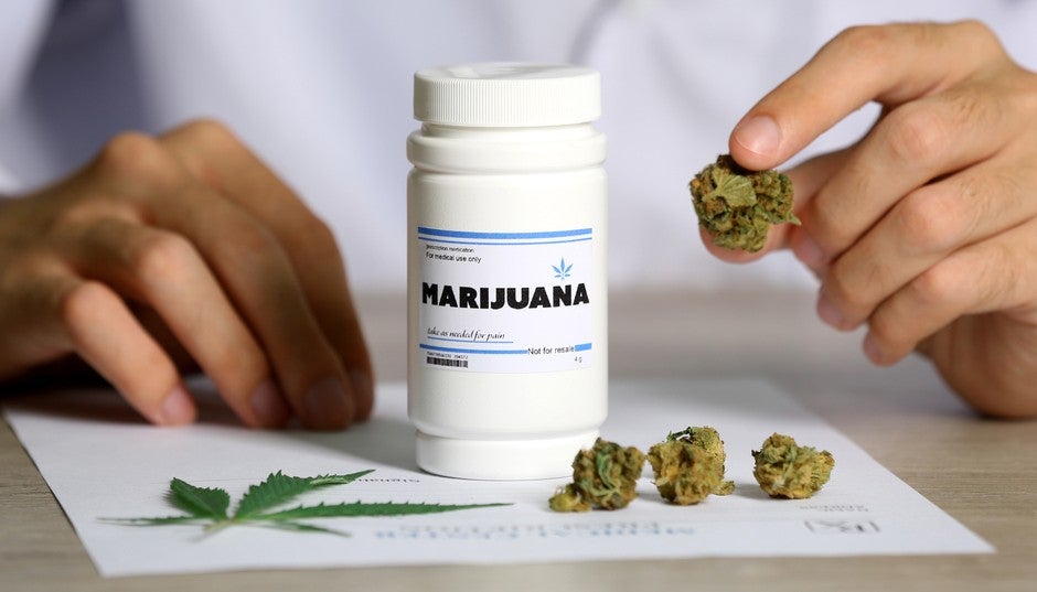 Malaysia Could Be First Country in Asia to Legalise Medical Marijuana - WORLD OF BUZZ 2