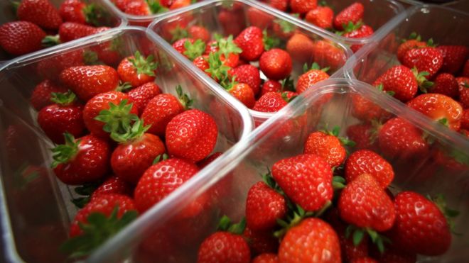 MoH Will Be Checking All Australian Strawberries For Needles Before Being Allowed into Malaysia - WORLD OF BUZZ 1