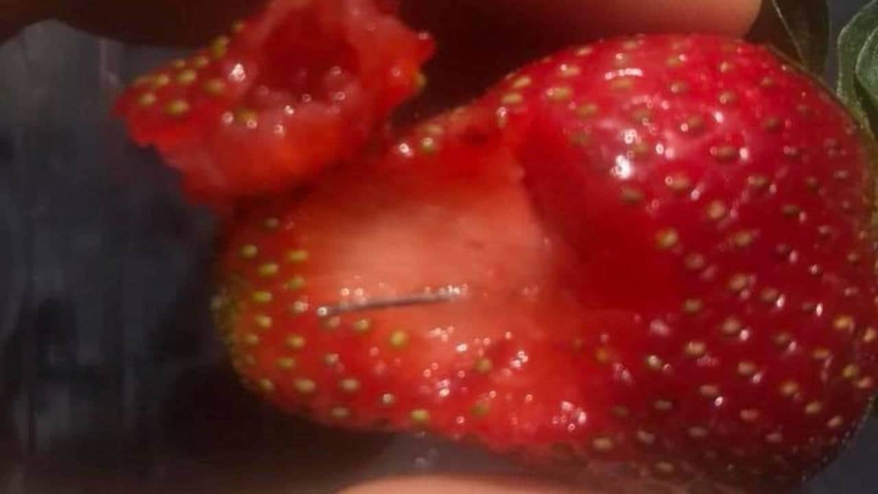MoH Will Be Checking All Australian Strawberries For Needles Before Being Allowed into Malaysia - WORLD OF BUZZ
