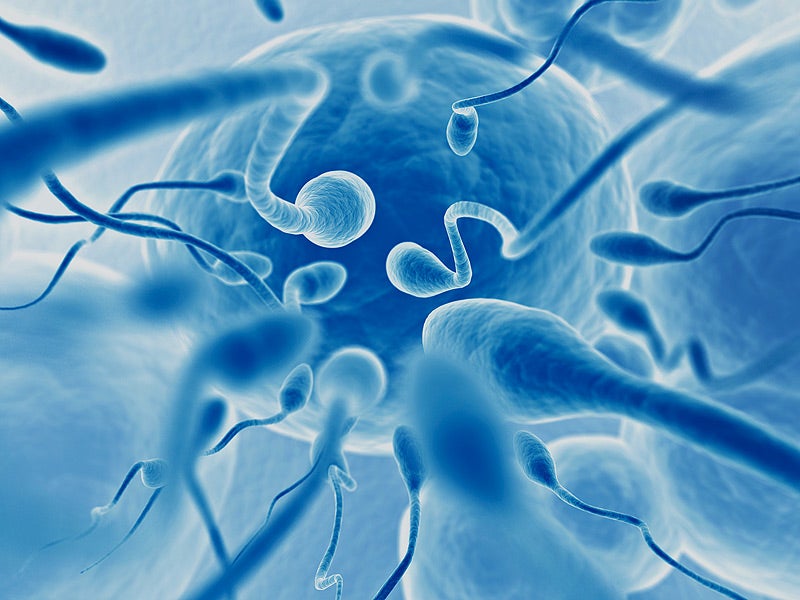 Research: Ejaculating for Second Time Within 3 Hours Produces Stronger & Faster Sperm - WORLD OF BUZZ 1