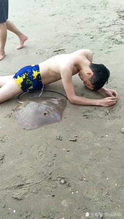 Stingray Gets Stuck to Man's Genitals After Stabbing Him in the Sea - WORLD OF BUZZ 1
