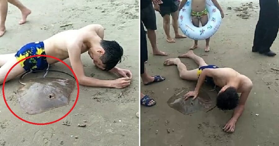 Stingray Gets Stuck To Man'S Genitals After Stabbing Him In The Sea - World Of Buzz 2