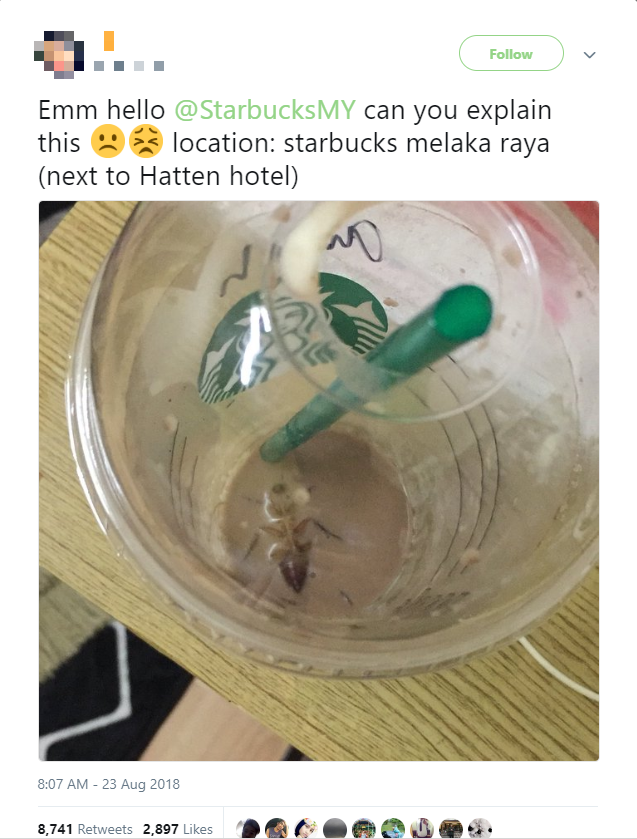 This Lady Found A Cockroach At The Bottom Of Her Starbucks Drink! - World Of Buzz