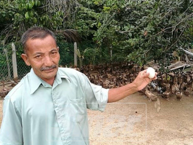 This Malaysian Man Earns RM12,000 a Month By Just Selling Duck Eggs! - WORLD OF BUZZ 2