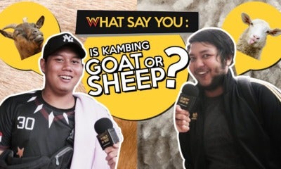 What Say You: Is 'Kambing' Goat Or Sheep? - World Of Buzz