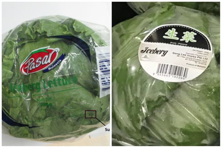 After S'pore, Malaysia Orders All Vendors to Stop Selling This Iceberg Lettuce Containing Harmful Pesticide - WORLD OF BUZZ