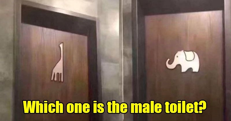 "Creative" Toilet Signs Leave Guy Confused As He Can't Figure Out Which One to Enter - WORLD OF BUZZ 2