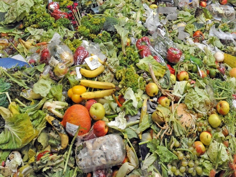 Malaysia Throws Away 3,000 Tons Of Food Still Good Enough To Eat Every Day - World Of Buzz 1