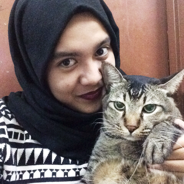 M’sian Cat Owners Share With Us Some Ridiculous Things They Do With Their Pets. Here’s What They Said! - WORLD OF BUZZ