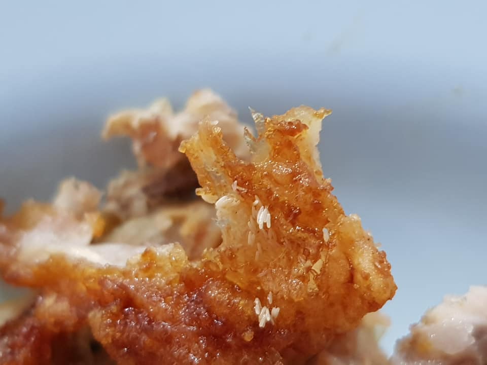 M'sian Grossed Out After Discovering Fly Eggs On Half-Eaten Korean Fried Chicken - WORLD OF BUZZ 2