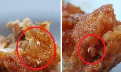 M'Sian Grossed Out After Discovering Fly Eggs On Half-Eaten Korean Fried Chicken - World Of Buzz 4