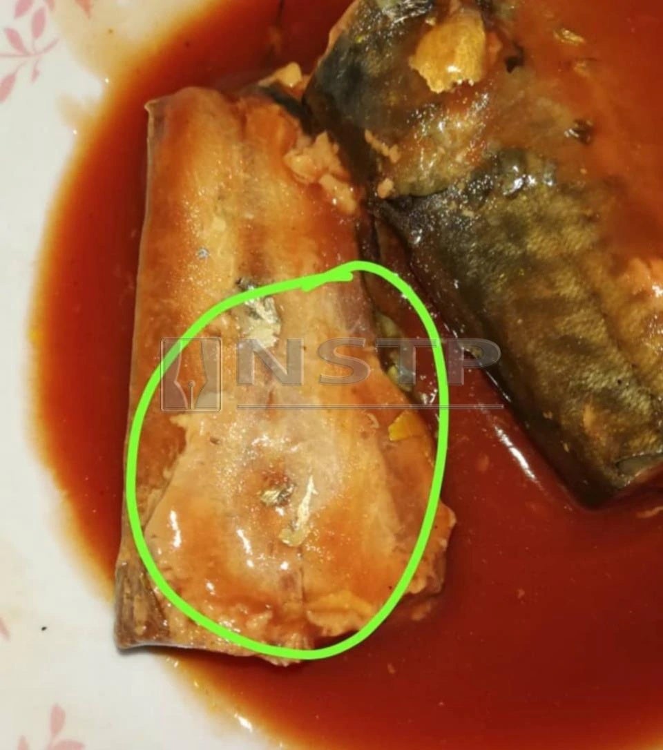 M'sian Woman Finds Worms in Locally Produced Canned Sardines Expiring in 2021 - WORLD OF BUZZ 2