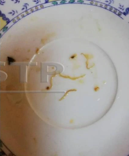 M'sian Woman Finds Worms in Locally Produced Canned Sardines Expiring in 2021 - WORLD OF BUZZ 1
