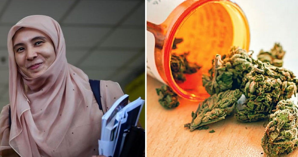 Nurul Izzah: We're Working on A Proposed Law to Decriminalise Medical Marijuana - WORLD OF BUZZ