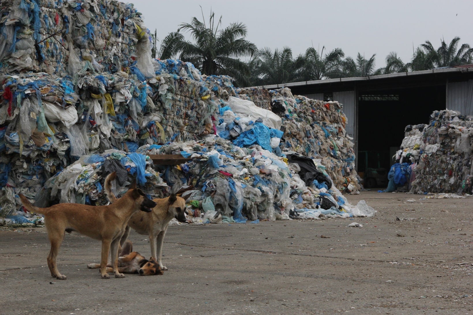 Plastic Waste From The UK Intended For Recycling Found Dumped in Peninsular Malaysia - WORLD OF BUZZ 4