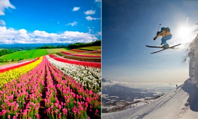 Starting 1 October 2018, Foreign Tourists Can Enjoy Up To 70% Discount Staying In Hokkaido - World Of Buzz