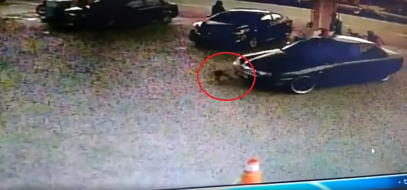 Watch: Heart-Stopping Moment Car Rams and Drags 2yo Girl at Klang Petrol Station - WORLD OF BUZZ 2
