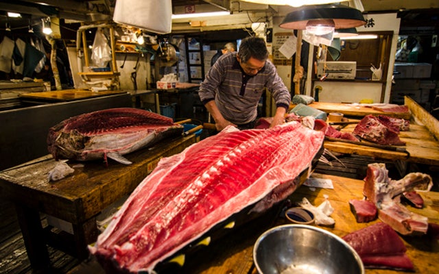 You Can No Longer Visit Historical Tsukiji Market in Tokyo As They Are Closing on 6 Oct 2018! - WORLD OF BUZZ 7