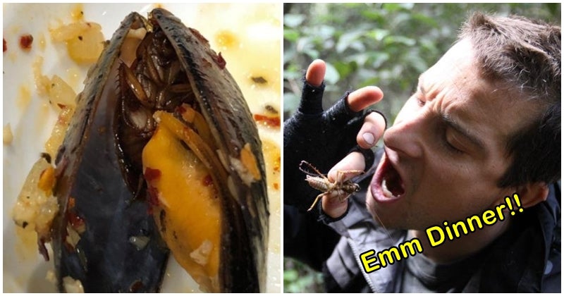 Aglio Olio With Cockroach 'Surprise' In Mussels, Terrify Patrons - World Of Buzz