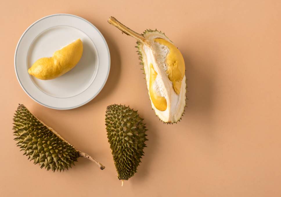 Durian Becomes One Of 80 Exhibits At Disgusting Food Museum - World Of Buzz