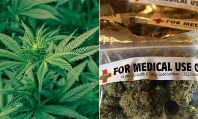South Korea Becomes First East Asian Country To Legalise Medical Marijuana For Better Treatment Options - World Of Buzz