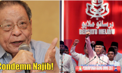 Kit Siang: Condemn Najib Before Umno Can Wash Its Hands Of The 1Mdb Scandal - World Of Buzz 4