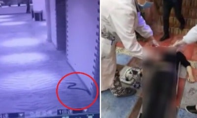 Man Rapes Woman After Using Venomous Pet Snake As Threat, Gets Bitten And Die Instead - World Of Buzz 4